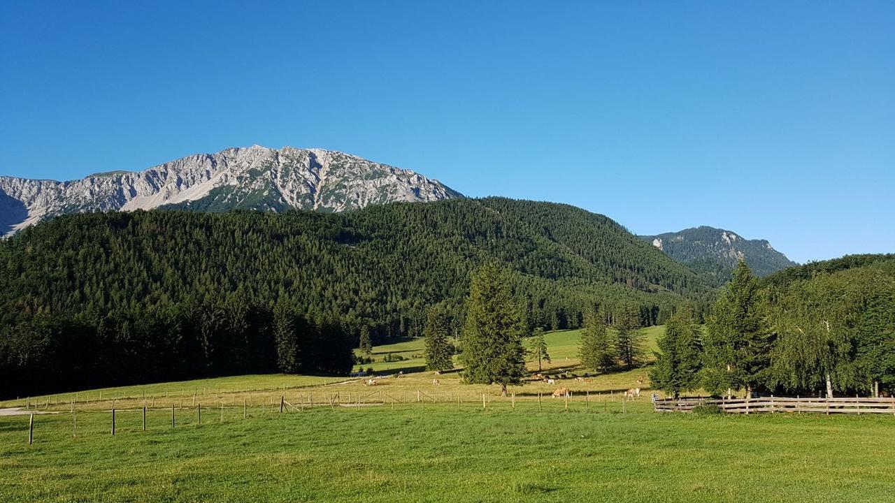 Ferienwohnungen Mamauwiese Gutenstein Esterno foto