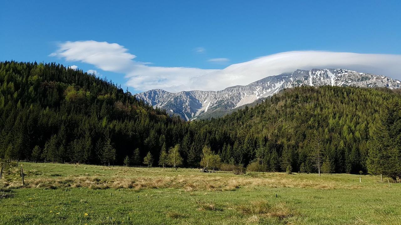 Ferienwohnungen Mamauwiese Gutenstein Esterno foto