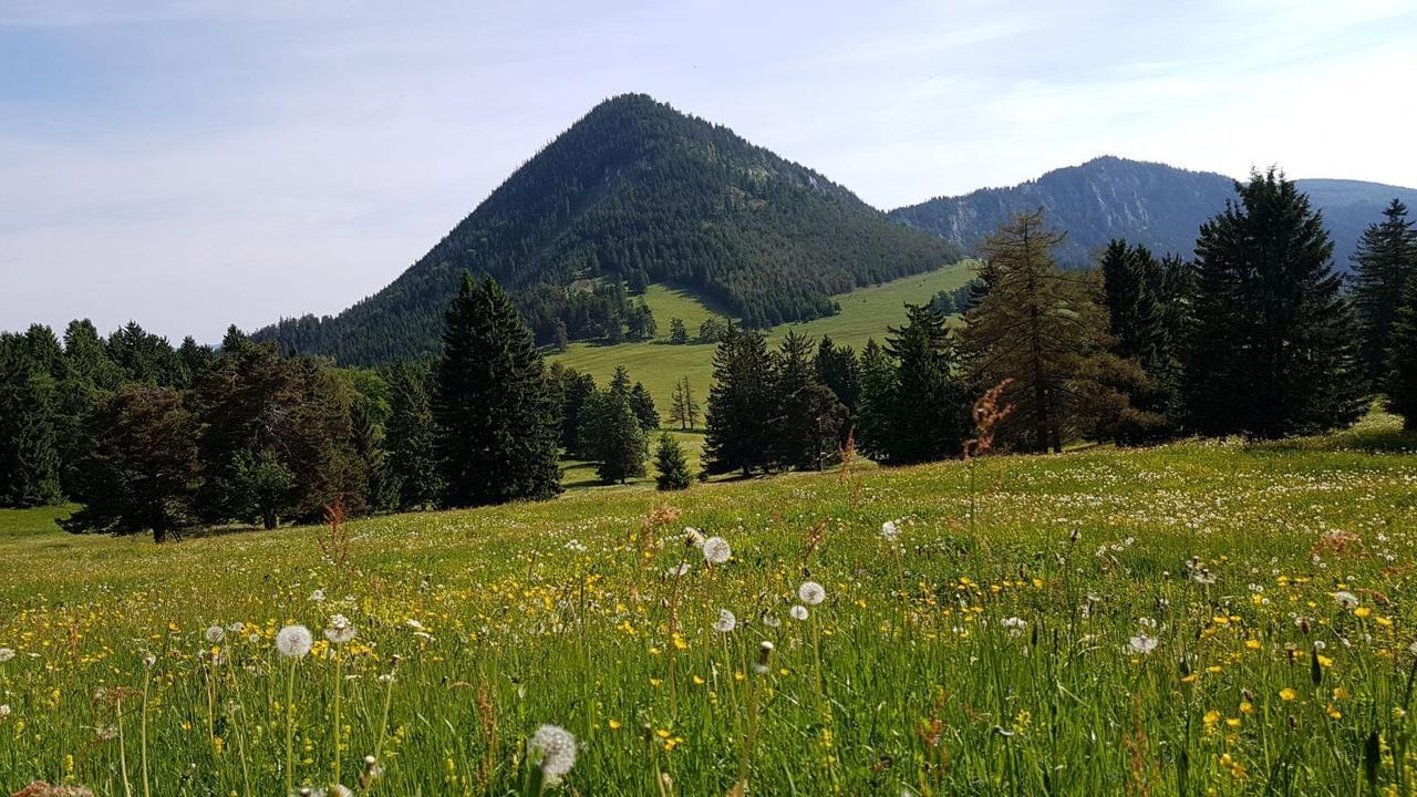 Ferienwohnungen Mamauwiese Gutenstein Esterno foto