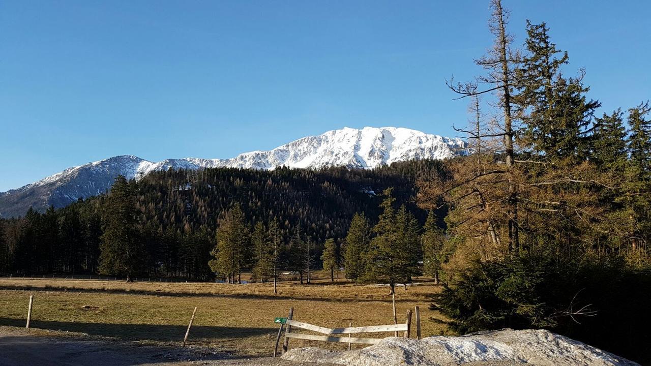 Ferienwohnungen Mamauwiese Gutenstein Esterno foto
