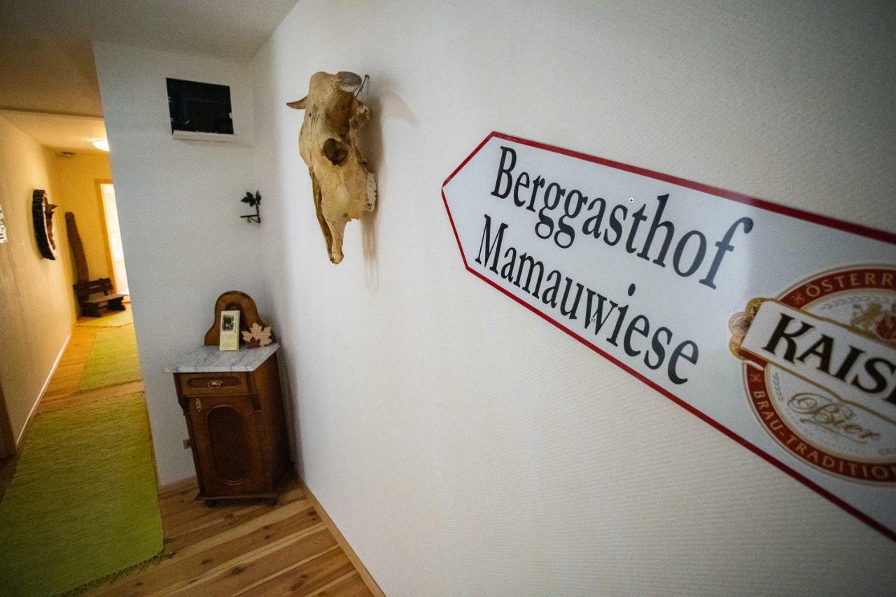Ferienwohnungen Mamauwiese Gutenstein Esterno foto
