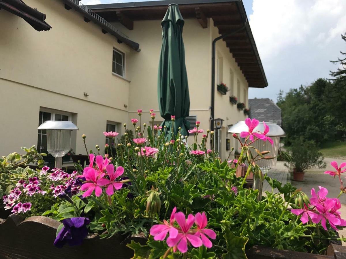 Ferienwohnungen Mamauwiese Gutenstein Esterno foto